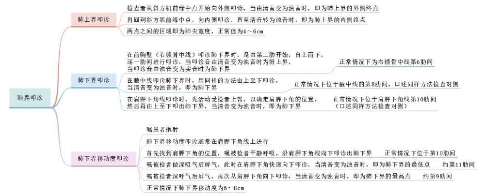 體格檢查——肺界叩診、肺下界移動(dòng)度叩診