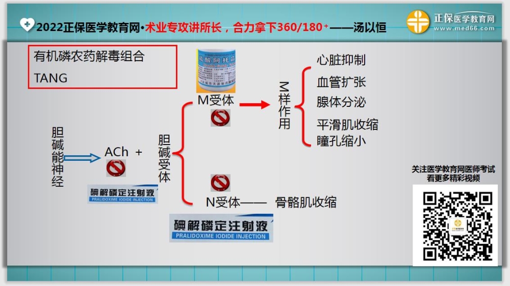 臨床醫(yī)師基礎測試14-延伸1