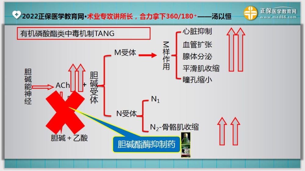 臨床醫(yī)師基礎(chǔ)測(cè)試15-延伸