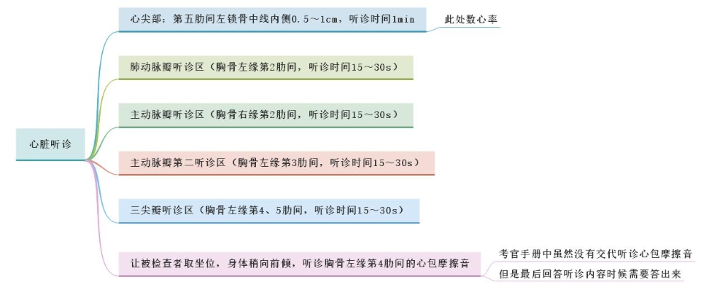 體格檢查——心臟聽(tīng)診