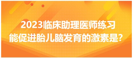 2023臨床助理醫(yī)師練習(xí)-促進(jìn)胎兒腦發(fā)育的激素是？