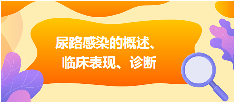 尿路感染的概述、臨床表現(xiàn)、診斷